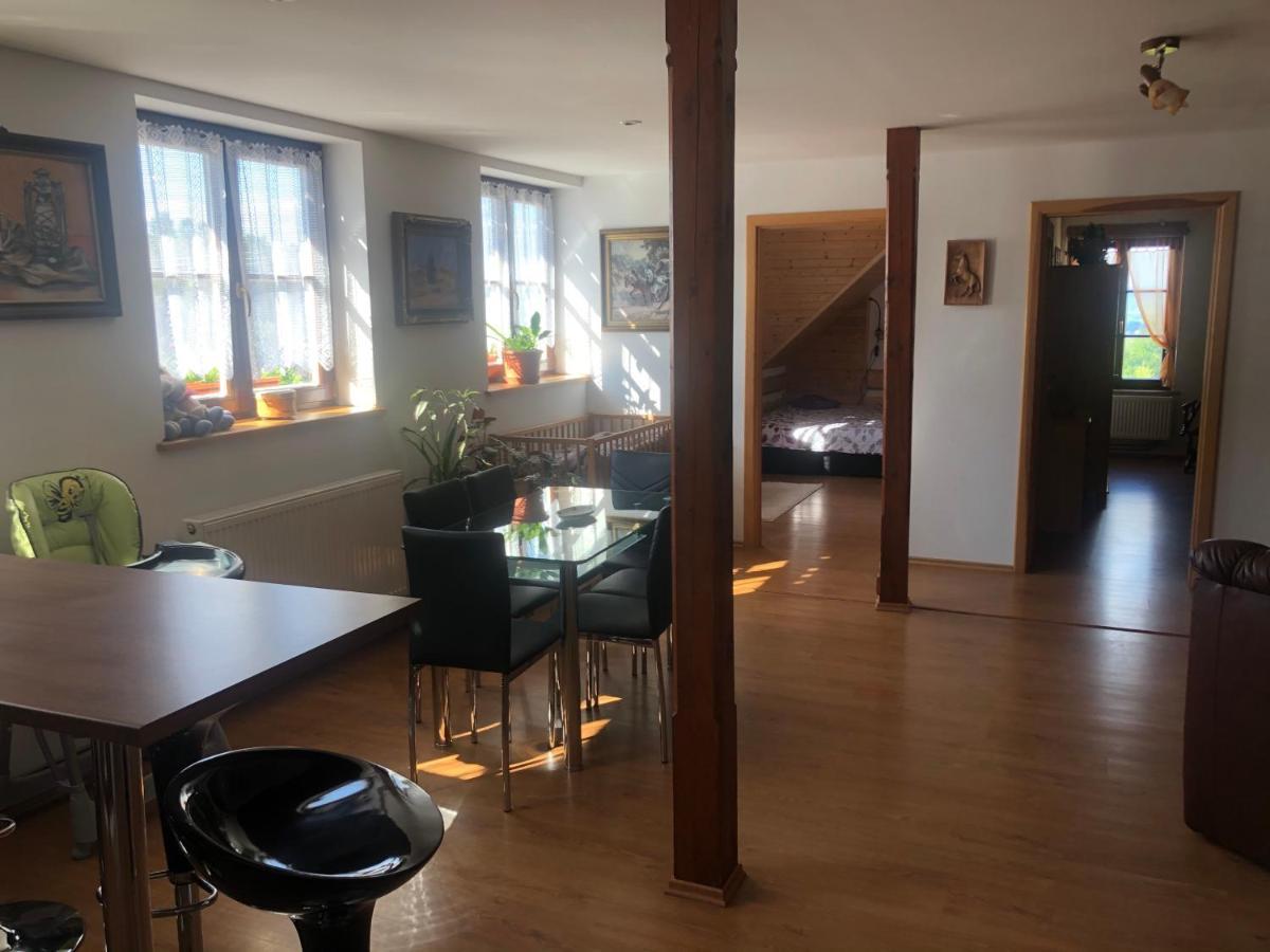 Ubytovani Pod Haniperkem 호텔 Vodňany 외부 사진