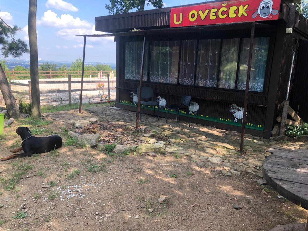 Ubytovani Pod Haniperkem 호텔 Vodňany 외부 사진